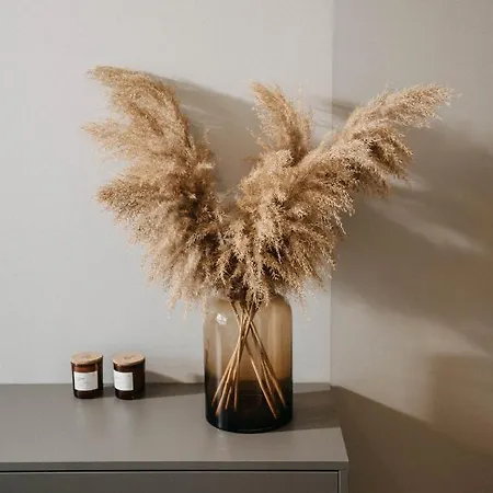 Διαμέρισμα Arra